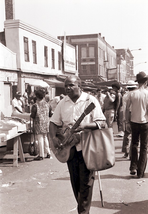 HA72 03 Arvella Gray