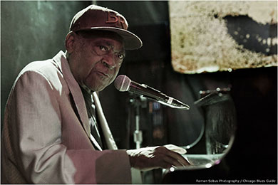 henry-gray-rosas-roman_390